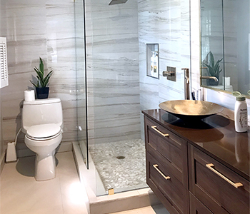 Frameless Shower Door