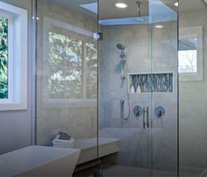 frameless shower door